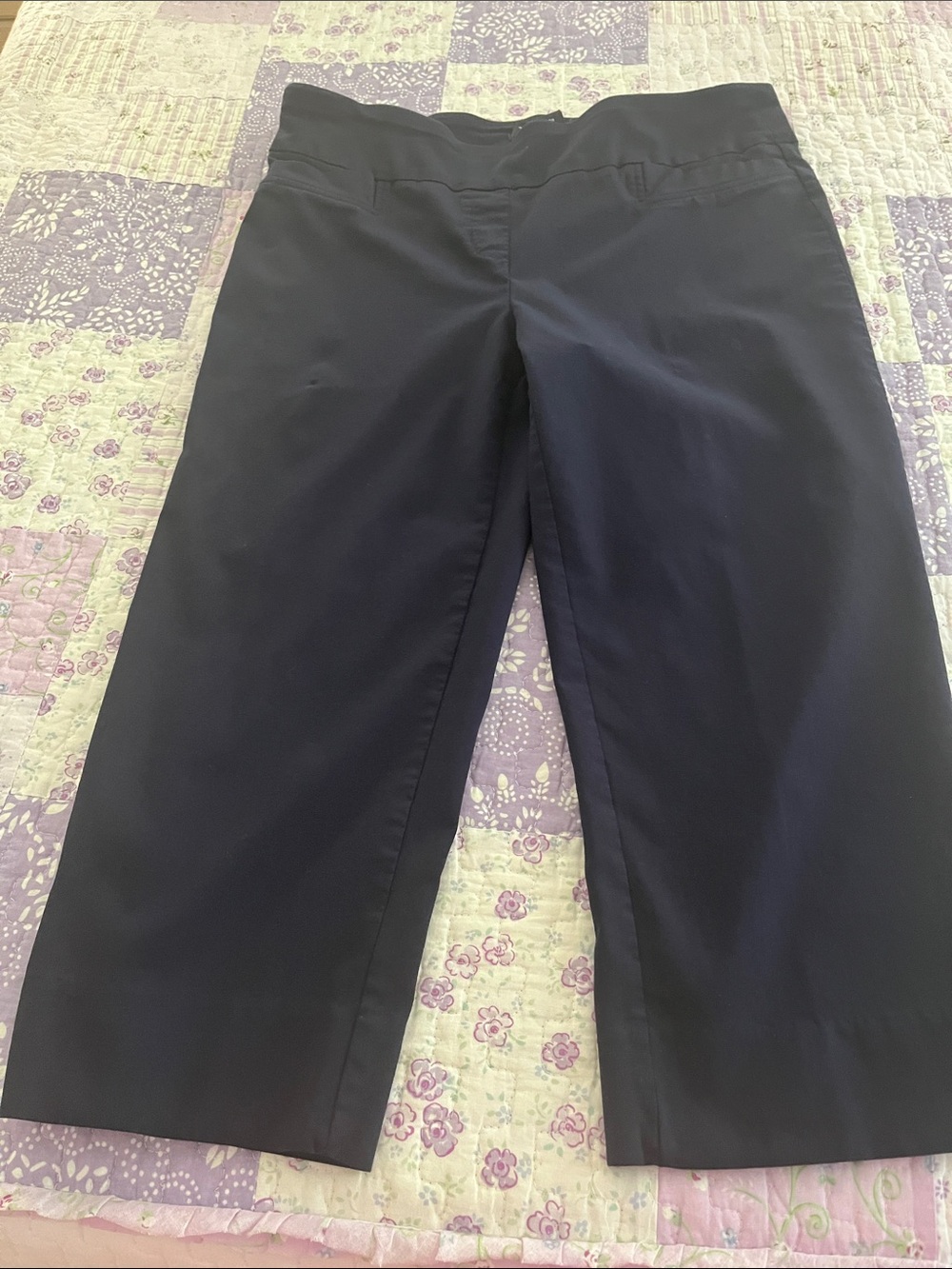 Zac & Rachel Black Women's Dress Capris